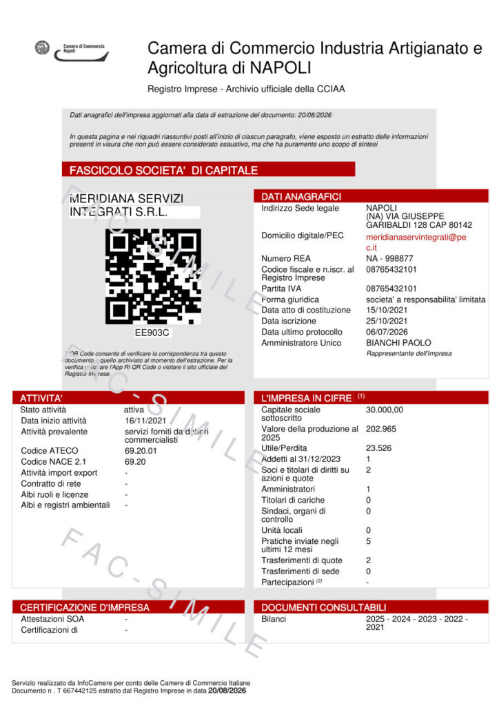 Fascicolo Società di Capitali