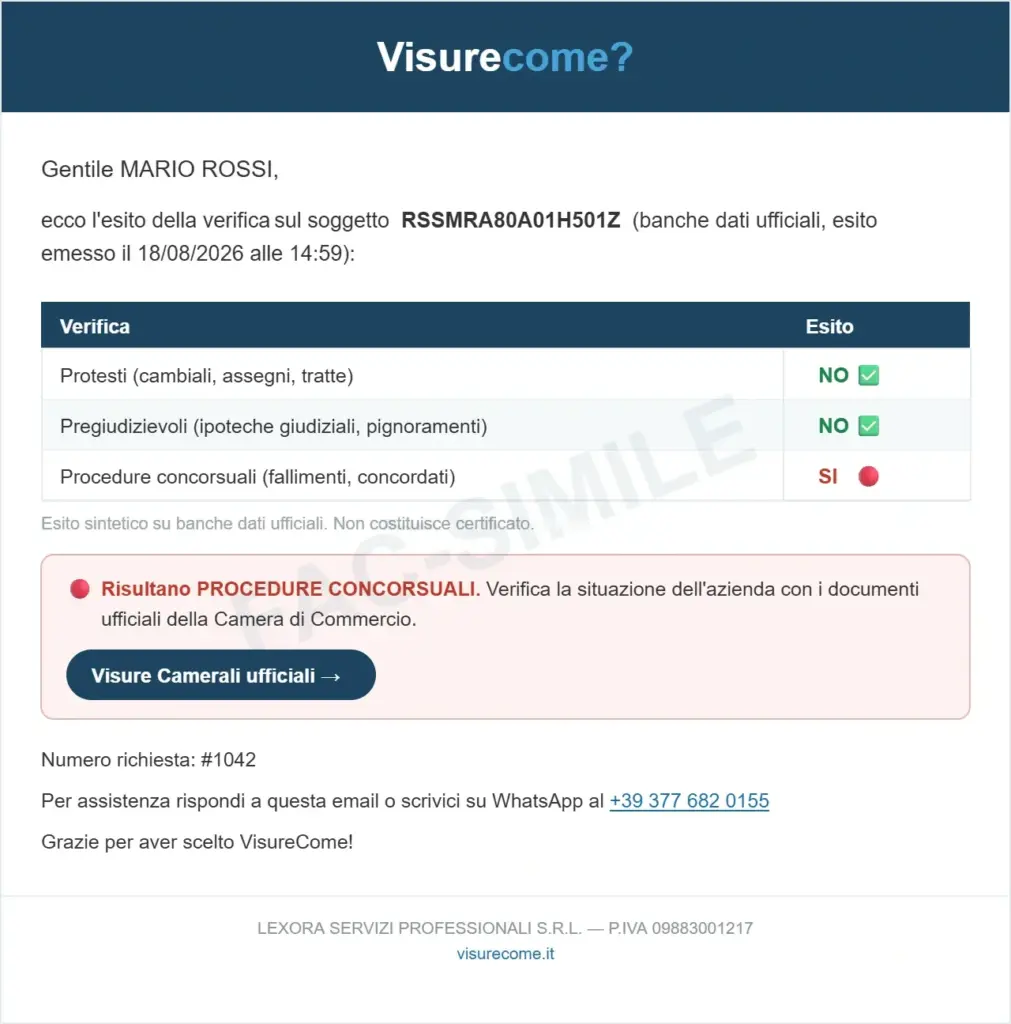 Fac-simile dell'esito del Report Negatività: protesti, pregiudizievoli e procedure